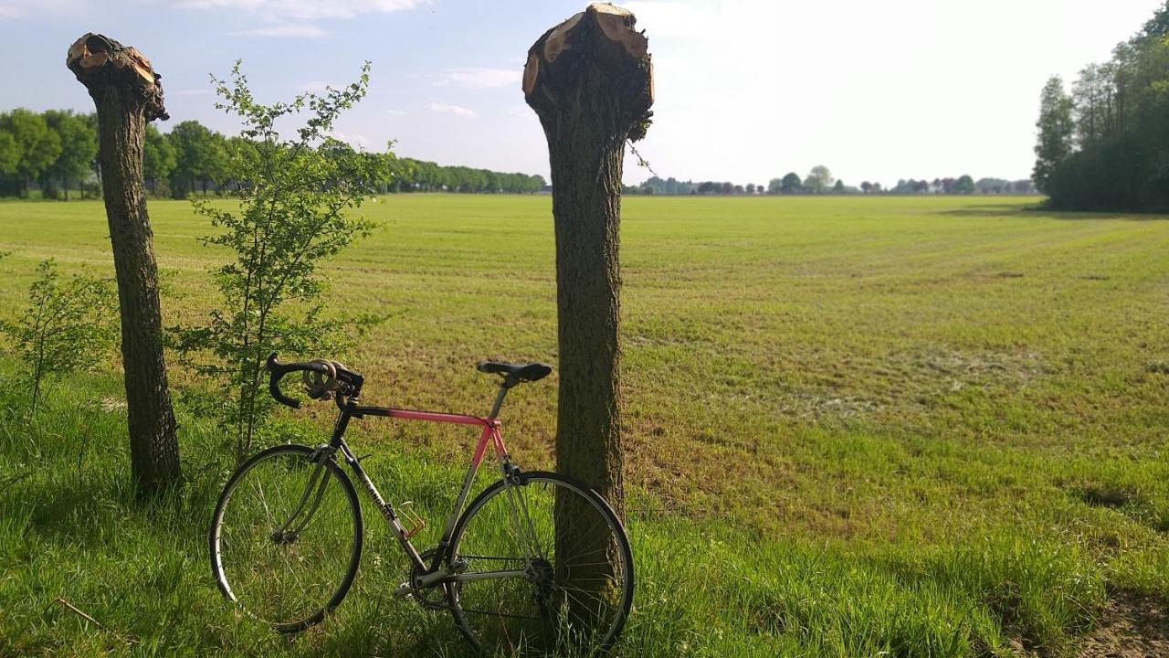 Muntershof Villa Velzeke-Ruddershove Kültér fotó