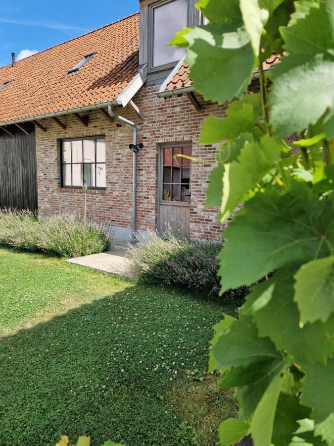 Muntershof Villa Velzeke-Ruddershove Kültér fotó